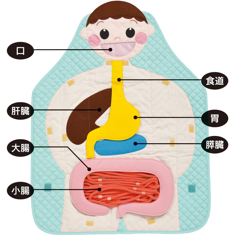食育エプロン　なんでも食べる元気なまあちゃん